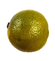 ripe lime flavored. on a white background