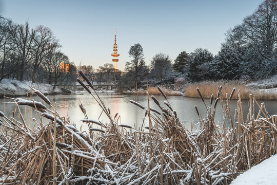 Germany, Hamburg, park Planten un Blomen at a winter morning