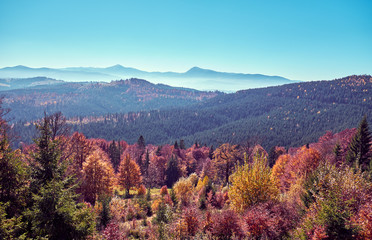 Beautiful autumn landscape in The Carpathian Mountains