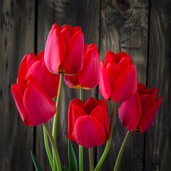 Spring bouquet of red tulips on a wooden background.