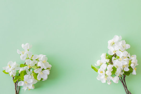 Flat Lay Composition With Spring White Flowers On A Green Background