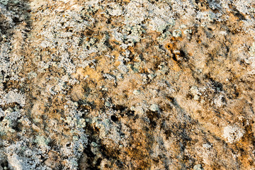 Stone texture for backgrounds and decorations