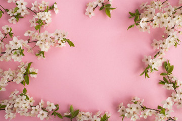 Spring or summer background.Flowering tree branches on the pink background.Top view.Copy space.
