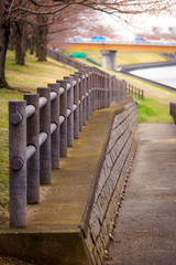 Obraz premium row of benches in the park