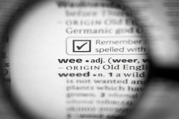 Word or phrase wee in a dictionary.