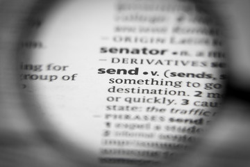 Word or phrase send in a dictionary.
