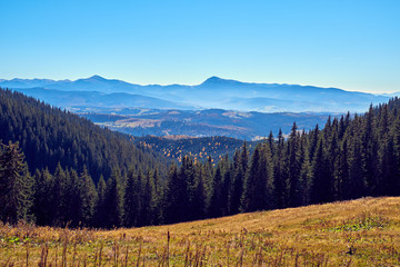 Fototapeta na wymiar Beautiful autumn landscape in The Carpathian Mountains