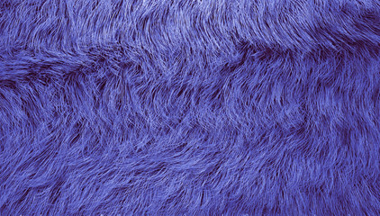 blue furry background