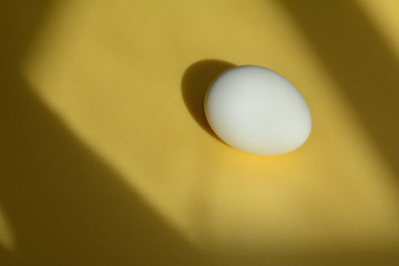 On a yellow background with shadows from the frame of the window, lies a chicken egg