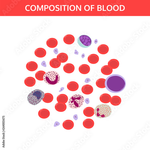 Medical Vector Concept A Drop Of Blood Under A Microscope Image