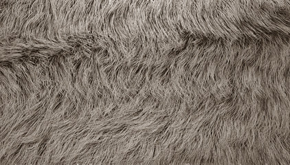 gray furry background