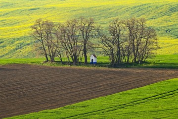 Spring sunset landscape photo of Moravian Tuscany in Czech Republic