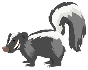 funny skunk animal cartoon illustration