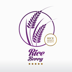 Premium Rice Berry great quality design concept  vector.