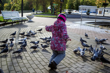 child runs for pigeons