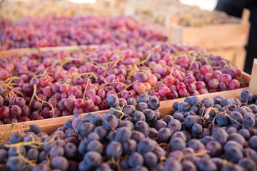 Photo of fresh grape on Tbilisi bazaar for graphic and web design, for website or mobile app.