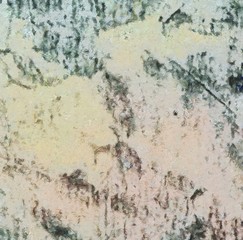 Creative abstract painting background in oil. Textured brush strokes of paint. Colorful design pattern. Artistic drawing grunge texture. Watercolor mixed fine art template for decoration. Vintage.