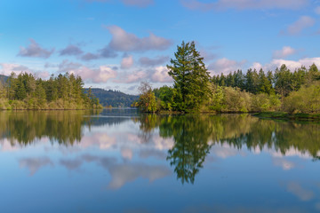 Fototapeta na wymiar Calm Waters Along Mud Bay, Puget Sound At Early Morning