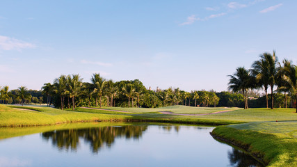 Fototapeta na wymiar Golf Course Palms & Water