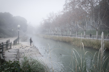 Persona mirando el canal con niebla