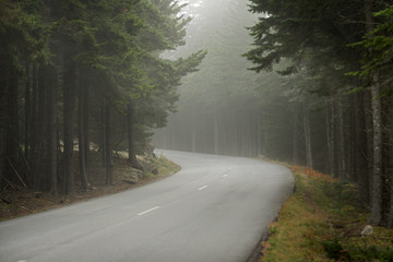 Obraz premium Winding Road in Fog
