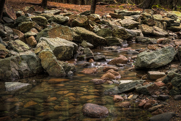 Rocky Forest Stream Cascades Forward