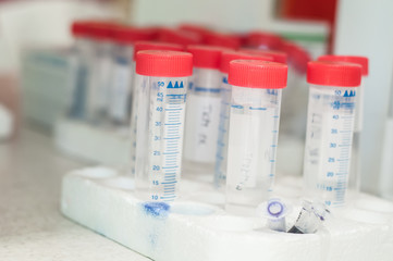 Close-up test tubes rack