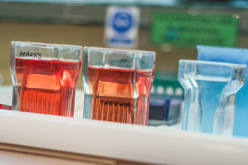 Close-up test tubes rack