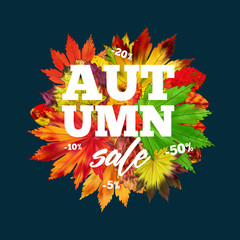Sale banner with colorful seasonal fall leaves