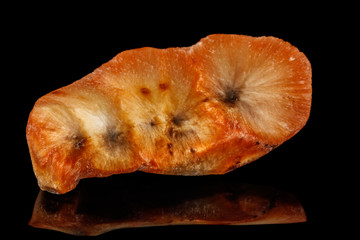 Macro stone Apophyllite mineral on black background