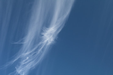 white cloud,air,sky, blue, clouds,space, high, wind, atmosphere, cloudscape,