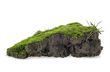 Green moss with grass on pile of soil, white background.