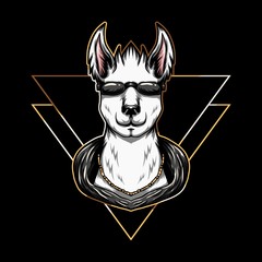 llama eyeglasses Vector illustration © andypp