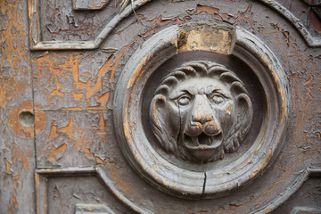 Wooden lion door. Lions gaze from weathered wooden door for graphic and web design, for website or...