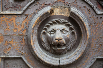Wooden lion door. Lions gaze from weathered wooden door for graphic and web design, for website or...