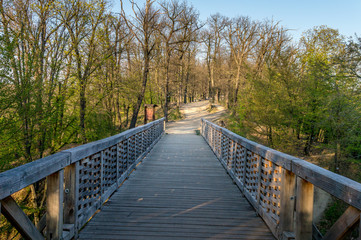 Obraz premium Kunratice forest - beautiful green park with path and bridge during sunset in Prague (secret gem, popular travel destination in Czech Republic, Europe)
