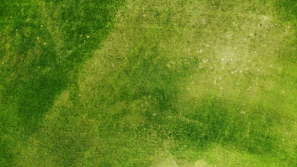 Aerial. Green grass texture background.