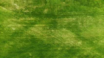 Fototapeta premium Aerial. Green grass texture background.