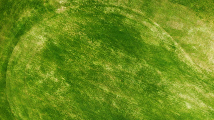 Fototapeta na wymiar Aerial. Green grass texture background.