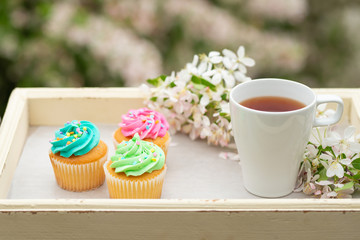 Bright cakes. Cupcakes with a blooming twig and a cup of coffee or tea on a tray with a bright color background, a sunny morning and bright mood. spring background