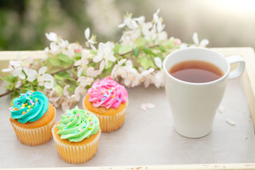 Bright cakes. Cupcakes with a blooming twig and a cup of coffee or tea on a tray with a bright color background, a sunny morning and bright mood. spring background