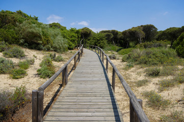 Fototapeta na wymiar A wooden boardwalk across the dunes leading to El Portil beach, Province Huelva, Andalusia, Spain