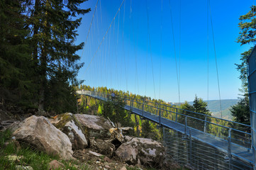 Hängebrücke Wild Line