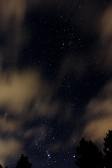 night sky with orion, clouds and trees