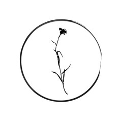Vector floral logo. Botanical illustration  with isolated  destroyed silhouette on white background.