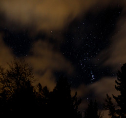 Fototapeta na wymiar night sky with orion, clouds and trees