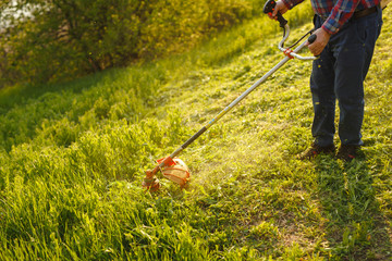 mowing trimmer - worker cutting grass in green yard at sunset.