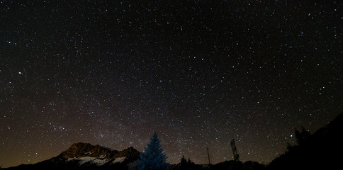 Obraz na płótnie Canvas night sky star in the alps with mountains and tree silhouette in the austrian alps