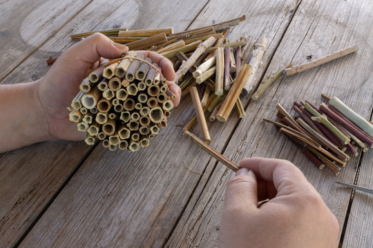 Do it yourself insect hotel made from hollow plant stalks