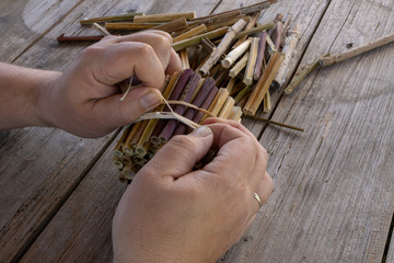 Do it yourself insect hotel made from hollow plant stalks